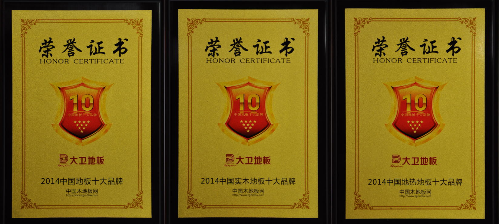 中國地板十大品牌大衛(wèi)地板斬獲3項(xiàng)榮譽(yù)(1).jpg